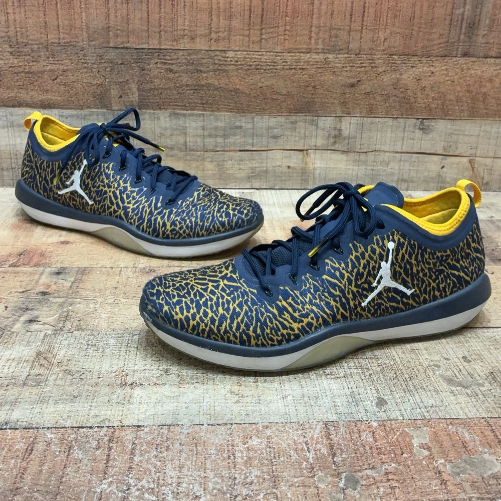 Jordan Trainer 1 Low Shoes Mens Size 14 48.5 Blue Animal Sneaker 845403-420